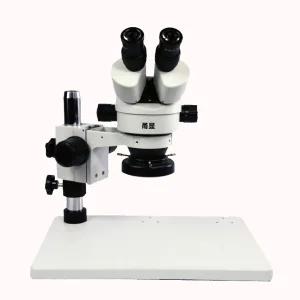 미세혈관 해부 실험 현미경 해부학 생물 실험실 혈류