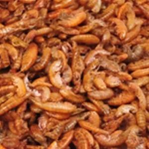 (30g) 거북이밥 건조새우 거북이사료 사료먹이 거북이 거북이밥 거북이사료