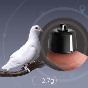 반려동물 비둘기용 강아지 장치 실시간 분실 기능이 있는 추적 GPS 미니 고양이용 방지 추적기 지오펜싱 위치 방수