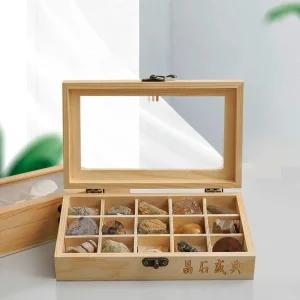 장식품 화석 고생물학 수석 단일 표본 수집품 광물 정리함