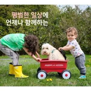 라디오플라이어 키즈 미니웨건 유아 걸음마