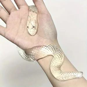 투명 뱀 말랑이 슬라임 스퀴시 스트레스볼 액체괴물