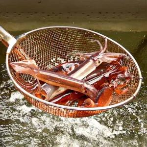 [산해직송]동해 통오징어 2kg(16-20미 내외)