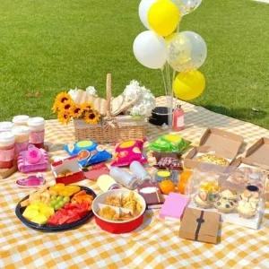 격자무늬 디자인 다용도 손잡이형 피크닉 매트 소풍 나들이 캠핑 해변 가볍고 실용적