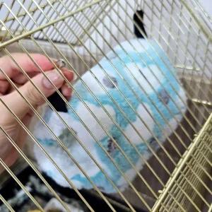 하트둥지 앵무새 포치 중새 침대 장난감 키우기 조류키우기