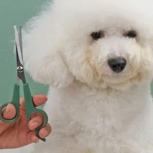 [콩심팥심]반려동물 미용 가위 틴닝가위 숱가위 가정용 반려견 반려묘 털 정리