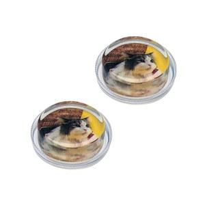 바이올린, 비올라 첼로, 에르후 전문 등급 로진, 로우 더스트, 2팩, 애완동물 배경음악이 있는 로진 (WYT-Qin -505CAT)