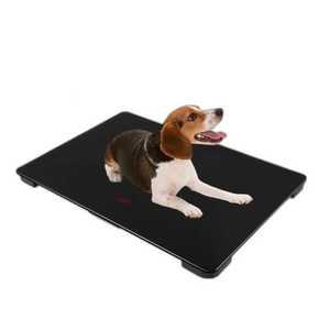 강아지 체중계 동물병원 저울 디지털 몸무게 측정기