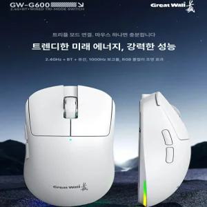 VXE MAD R시리즈 게이밍 마우스 경량화 디자인 수신기 포함