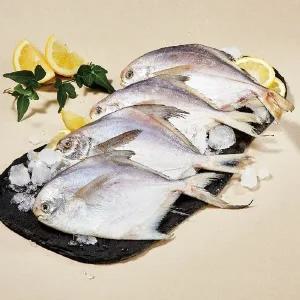 [NS홈쇼핑]바다愛한끼 국내산 손질병어 300g 3팩 (팩당2미/총6미)[35537345]