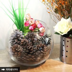 힐링 솔방울 가습기 컬러볼/천연 가습/미니 어항