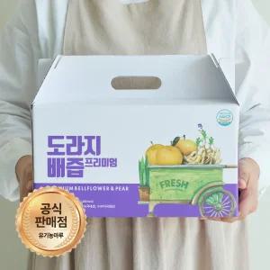 물넣지않은 도라지배즙 (생도라지25%) 100ml x 30팩