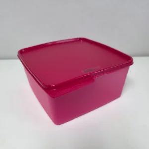 타파웨어 반찬통 베이직라인 밀폐용기 저장통 김치통 냉장고정리