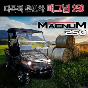 다목적 짐운반용사륜오토바이 매그넘250/utv/atv