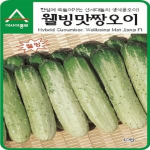 [아시아종묘/오이씨앗종자] 웰빙맛짱 오이(노각오이) (40립)