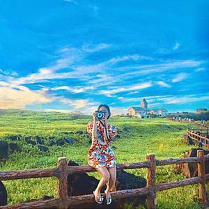 [제주] 동부 버스투어 트립이즈마인