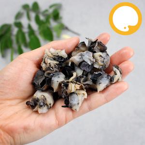 우렁이 논우렁살 국내산 700g 냉동 논고동 우렁쌈밥