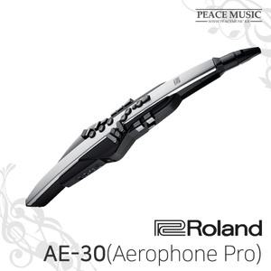 11번가 롤랜드 전자 색소폰 Aerophone Pro AE-30 에어로폰 프로 AE30 ROLAND