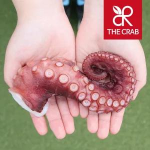 자숙문어다리 300g (2족) 피문어 돌문어 냉동 숙회