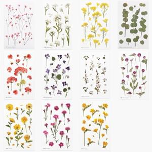 [어프리] 압화 스티커 11종 세트 A (안개꽃 알리숨 유채꽃 유칼립투스 제라늄 제비꽃 조팝나무 천일홍 카렌