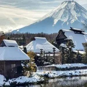 [한걸음 더] 동경/하코네 온천 4일