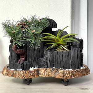 희망참숯농원 숯화분 그루터기 집들이 인테리어 개업 승진 축하 선물