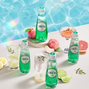 트레비 탄산수 300mlx20펫 플레인 레몬 자몽 라임 4종 모음
