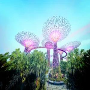 부산출발 싱가포르 5일 #1일자유 #센토사섬 #루지 #노쇼핑 #제주항공