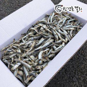 실속형 다시멸치 1.5kg 대멸치 국물용멸치 대멸 멸치