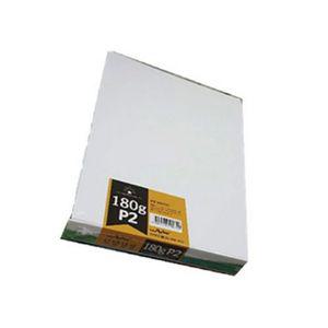 로얄P2무지 출력용상장용지 A4 180g 케이스 100매 우진 팩