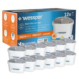 [공식수입] 웨스퍼 프로텍트 브리타 정수기 호환 필터 12개 (석회제거 라임스케일 엑스퍼트)