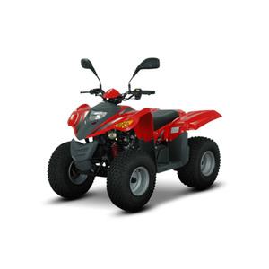 디앤에이모터스 DNA 이륜 오토바이 올코트 ATV (C)