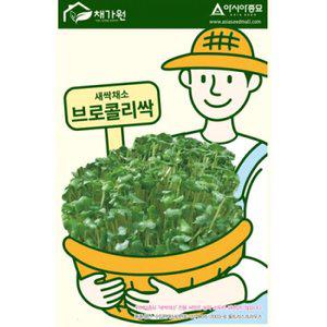 아시아종묘 씨앗 새싹 브로콜리싹 1kg