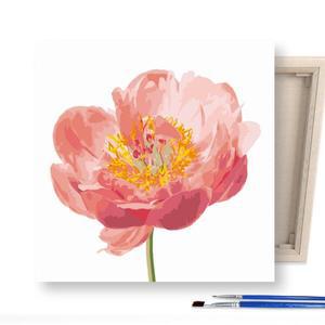 [아트박스]/아이러브페인팅 DIY캔버스형 그림그리기 25x25cm 미니 핑크 모란