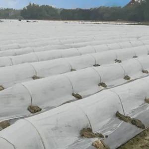 텃밭 농막 소형 비닐하우스 비닐 2m x 10m 하우스용 (WFH2S0B)