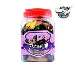 [MENPGICW_52GP]곤충 모형 교육 완구 자연 탐험 키즈