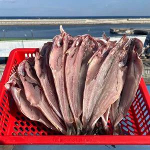 [인정식탁][연자매수산] 쫀득쫀득 국내산 반건조임연수 500g내외(4-6미) x 4세트