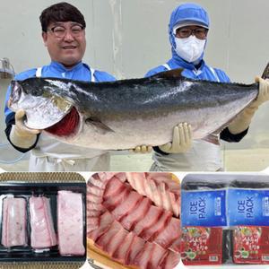 대방어 9kg 이상 모둠회 필렛 500g + 삼둥이 초장 세트