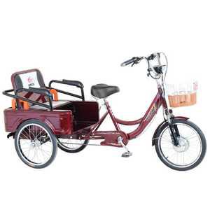 삼륜 전기자전거 세발 어르신 안전 시골 마실 인력거
