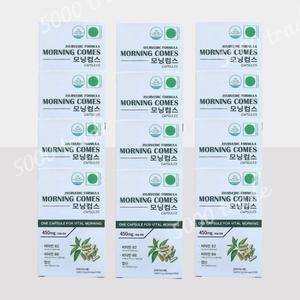 모닝컴스 캡슐 활력 비타민 12박스 (120캡슐)