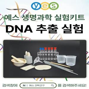 예스과학교구 생명과학실험 2인세트 DNA추출실험 키트 YES-D1 (식물)