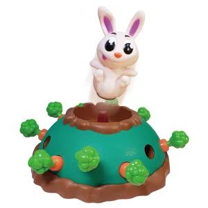 씨케이 당근뽑기