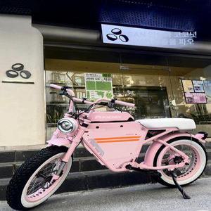 20인치 전기자전거 자토바이 벤틀러스 배달용 이지베이션