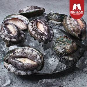 국내산 완도 활전복 실속형 500g[6~7미]+전복칼