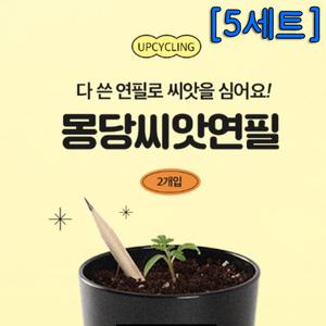 몽당 씨앗연필 (2개입) - 5세트/씨앗키우기,열매키우기