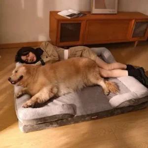 대형견매트 애견방석 리트리버 강아지집 바닥쿠션