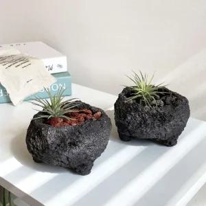 화산석 현무암 이오난사 키트