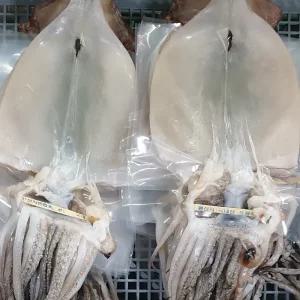 CM팜 최상엄선가공 반건조 오징어 5미 10미 당일바리 오징어 무침 볶음 버터구이 튀김 구이용 요리