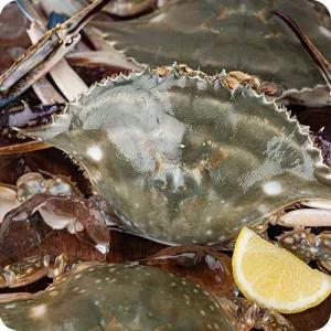 제철 활 숫꽃게 빙장포장 수율 80% 이상 1kg 3-5미