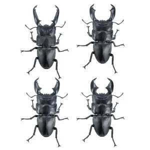 오호히라 타쿠와가타 사슴벌레 1/1  캡슐토이 가챠